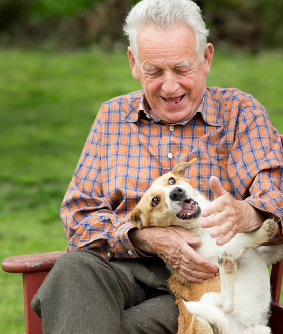 Terapia con animales en personas mayores